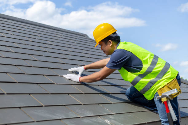 Best Roof Gutter Cleaning  in Weatherly, PA