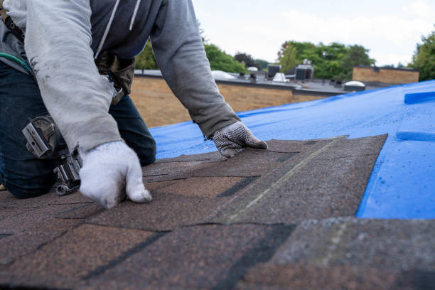 Best Metal Roofing Contractor  in Weatherly, PA